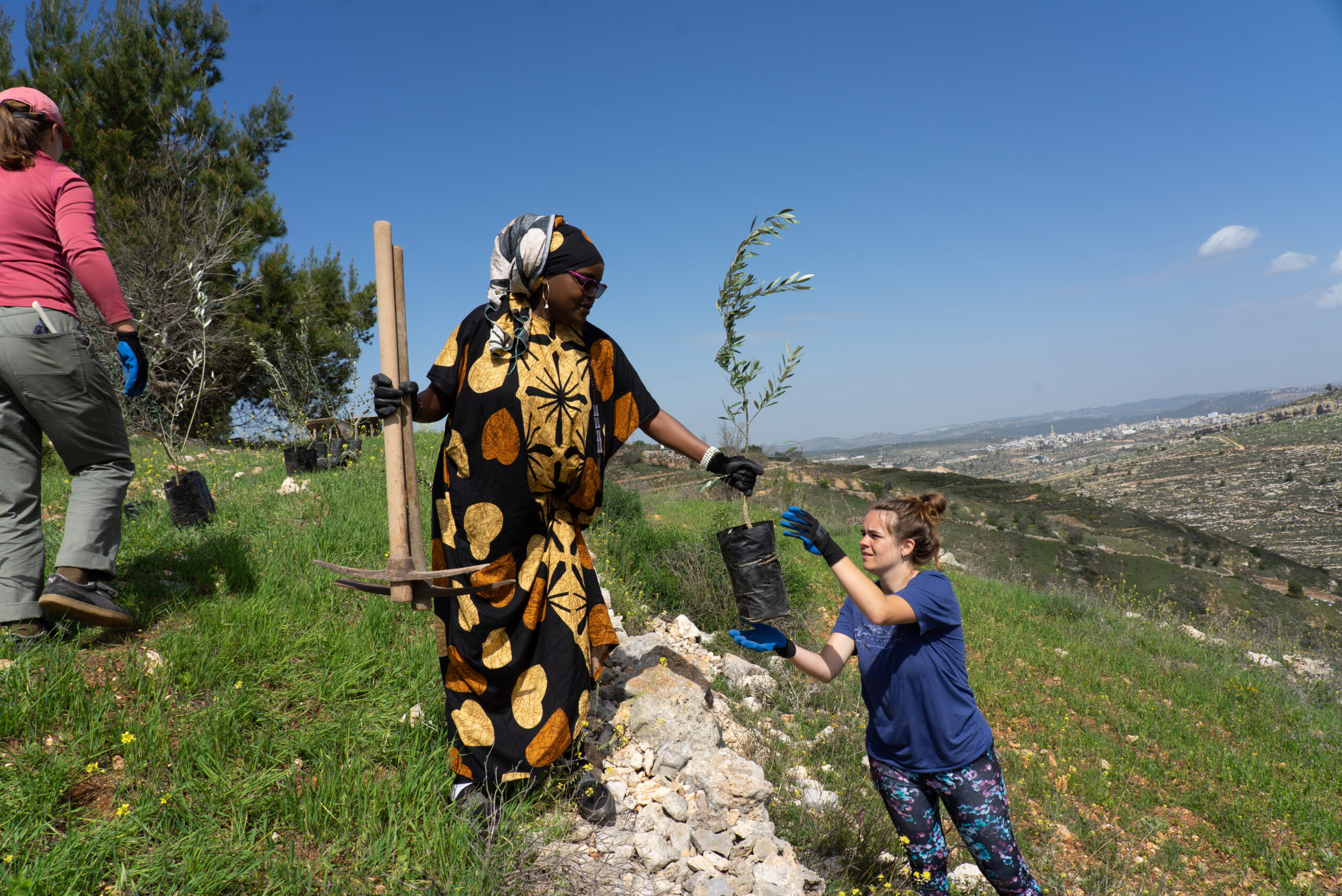 The Last Palestinian Hill: Palestinian Farmers Peacefully Resist Israeli Efforts to Confiscate Land